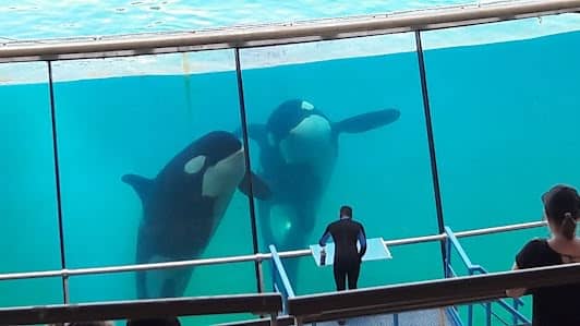 Marineland photo 3