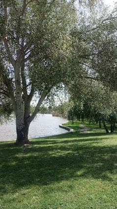 Parque del Alamillo
