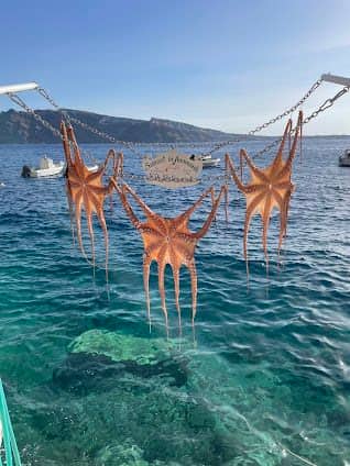 Ammoudi Bay photo 2