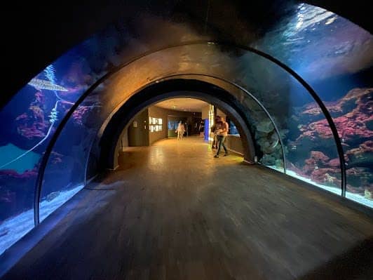 Acquario Civico e Stazione Idrobiologica di Milano photo 2