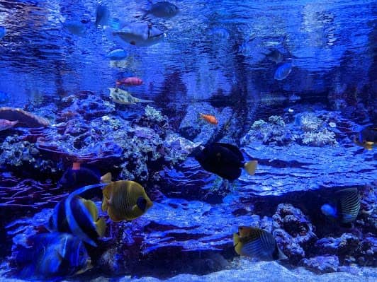Acquario Civico e Stazione Idrobiologica di Milano photo 3