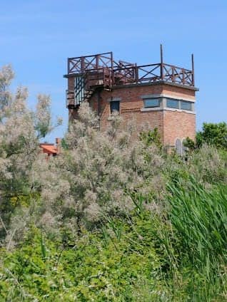 Lido di Venezia photo 5