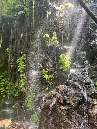 Aling-Aling Waterfall photo 3