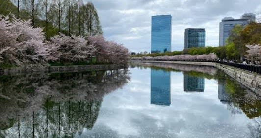 8-day itinerary in Osaka & Tokyo & Kyoto, Japan focusing on Top attractions and Shopping itinerary cover