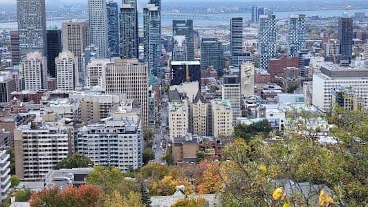 Mount Royal Park photo 6