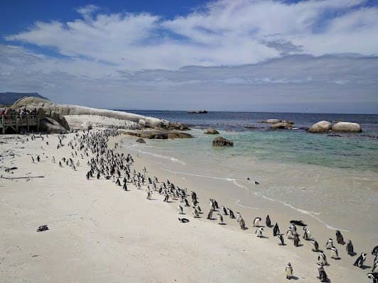 Boulders Beach photo 6