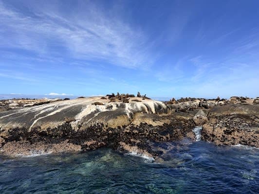 Seal Island