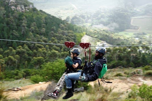 Cape Town Ziplines SA Forest Adventures