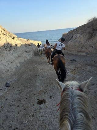 Santorini Horse Riding photo 5