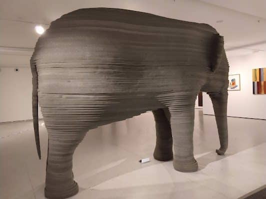 Museum of Contemporary Art at the University of São Paulo photo 5