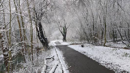 Heaton Mersey Common photo 6