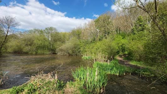 Heaton Mersey Common photo 7