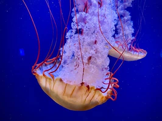 Aquarium de Paris photo 7