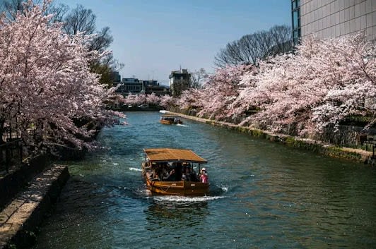 Kyoto, Japan 11-day travel plan covering Top attractions and Shopping
