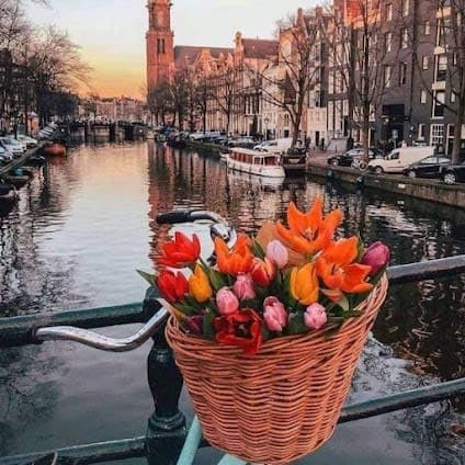 Amsterdam, Netherlands 9-day travel plan covering Top attractions and For kids and Nature and outdoor itinerary cover