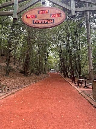 Belgrad ormanı