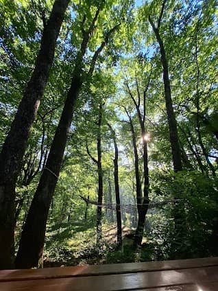 Belgrad ormanı photo 2