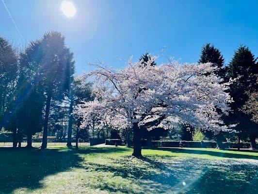 Didsbury Park