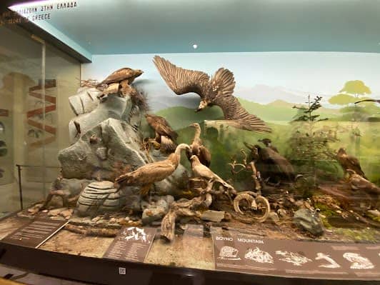 National Museum of Natural History Goulandris photo 5