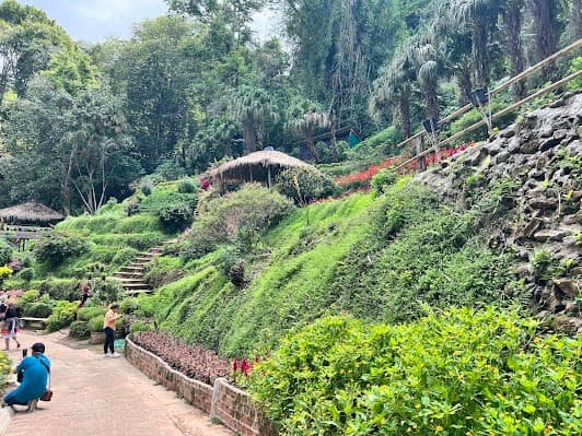 Doi Pui Waterfall Garden