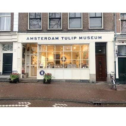 Amsterdam Tulip Museum photo 6