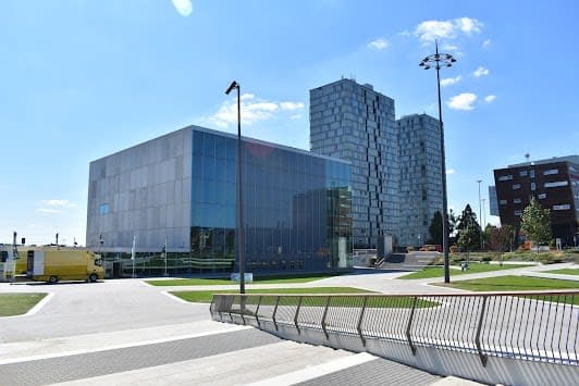 Kunstlinie