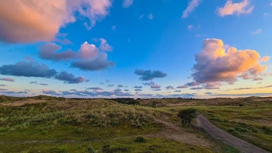 Amsterdamse Waterleidingduinen