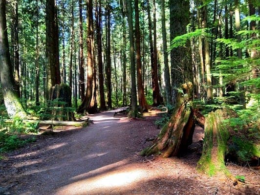 Pacific Spirit Regional Park