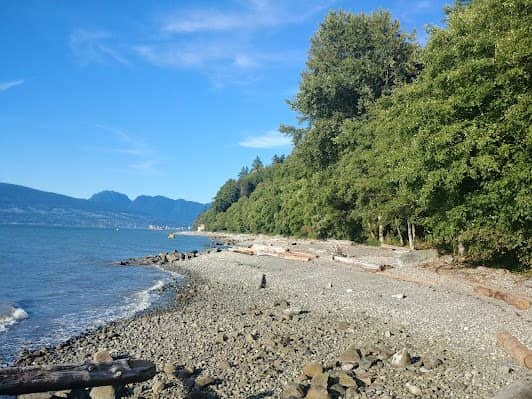 Pacific Spirit Regional Park photo 4