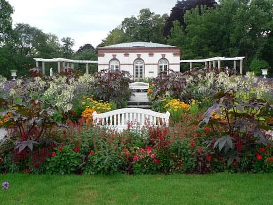 Palmengarten Frankfurt photo 7