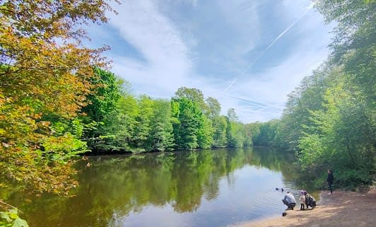 Frankfurt City Forest