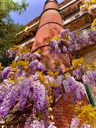 Brera Botanical Garden photo 3
