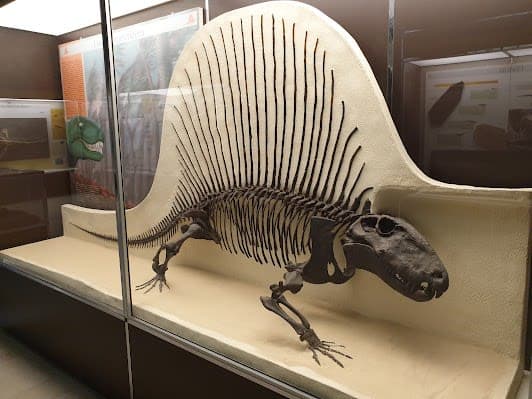 Milan Natural History Museum