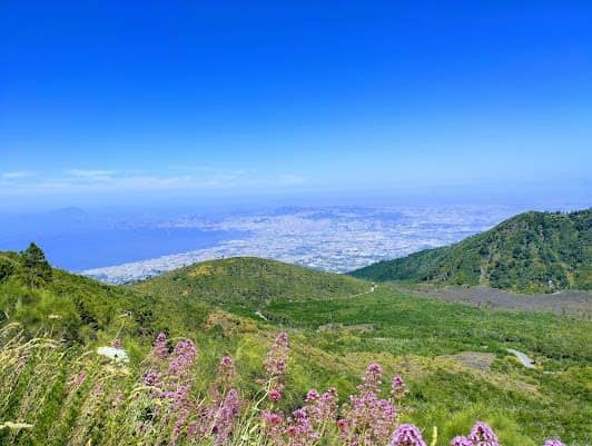 Vesuvius National Park photo 3