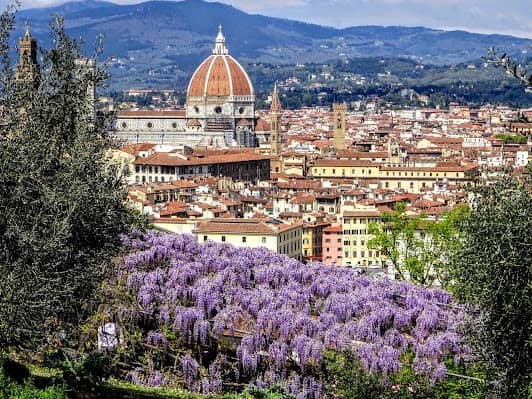 Giardino Bardini photo 3