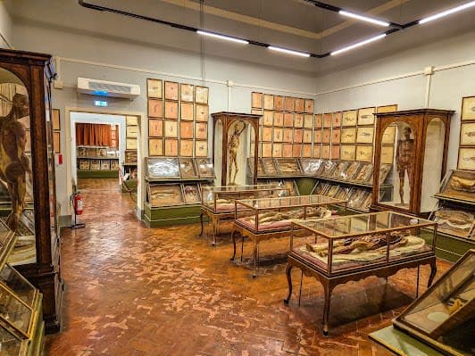 Museum of Natural History, La Specola