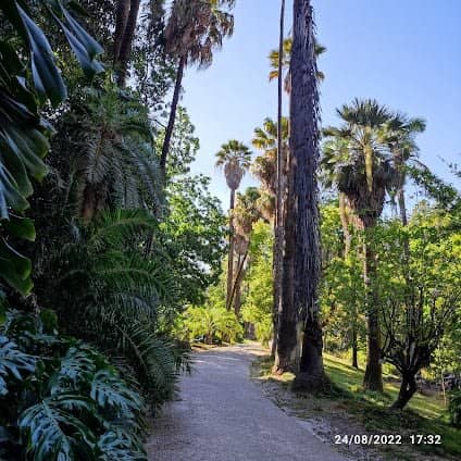 Botanical Garden of Lisbon photo 6