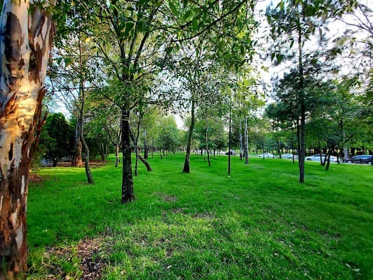 Bosque de Chapultepec II Sección photo 4