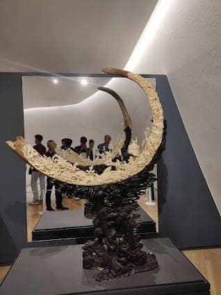 Museo Soumaya photo 5
