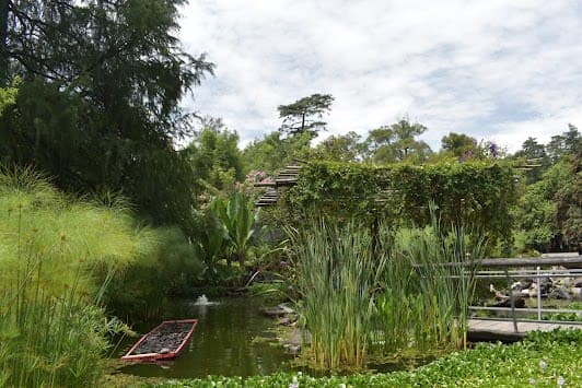 Jardín Botánico del Bosque de Chapultepec