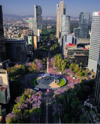 10 days in Mexico City, Mexico: itinerary with Top attractions and For kids