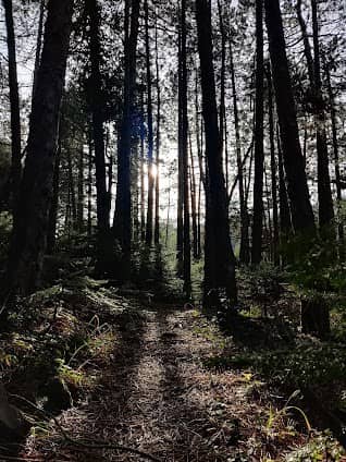 National Park of Parnitha photo 3