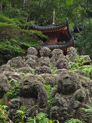Otagi Nenbutsuji Temple photo 4