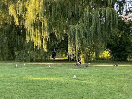 Parc Angrignon