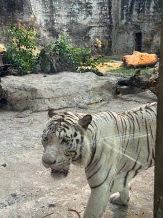 Saigon Zoo & Botanical Gardens photo 3