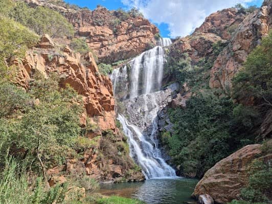 Walter Sisulu National Botanical Garden photo 7