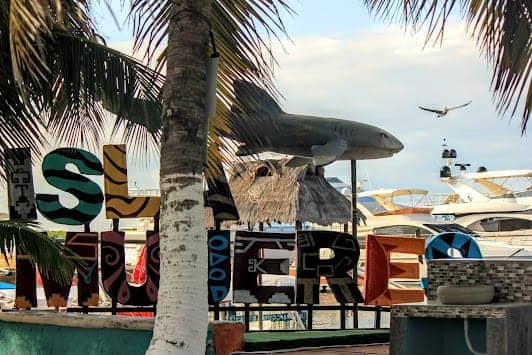El Parque Nacional Costa Occidental de Isla Mujeres, Punta Cancún y Punta Nizuc photo 4