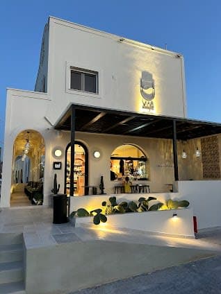 Vino Concept