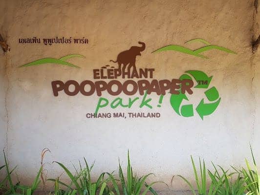 Elephant POOPOOPAPER Park Chiang Mai photo 5