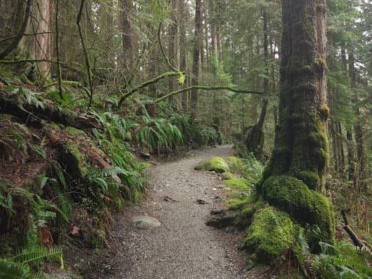 Capilano River Regional Park photo 4